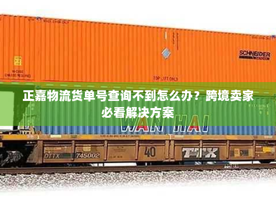 正嘉物流货单号查询不到怎么办?跨境卖家必看解决方案 正嘉物流货单号查询不到怎么办?跨境卖家必看解决方案