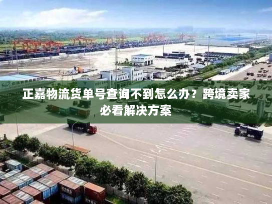 正嘉物流货单号查询不到怎么办?跨境卖家必看解决方案 正嘉物流货单号查询不到怎么办?跨境卖家必看解决方案