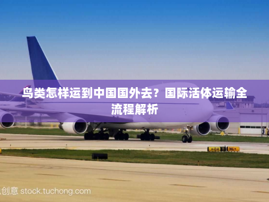 鸟类怎样运到中国国外去?国际活体运输全流程解析 鸟类怎样运到中国国外去?国际活体运输全流程解析