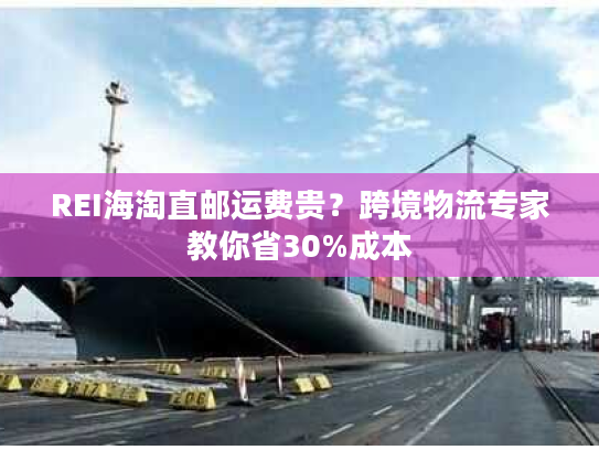 REI海淘直邮运费贵？跨境物流专家教你省30%成本
