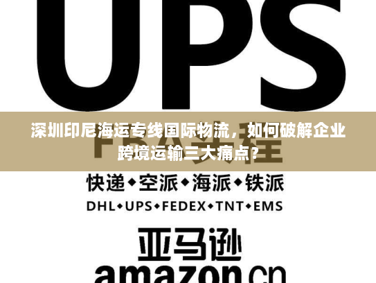 深圳印尼海运专线国际物流，如何破解企业跨境运输三大痛点？