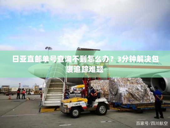 日亚直邮单号查询不到怎么办？3分钟解决包裹追踪难题