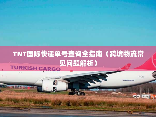 TNT国际快递单号查询全指南（跨境物流常见问题解析）