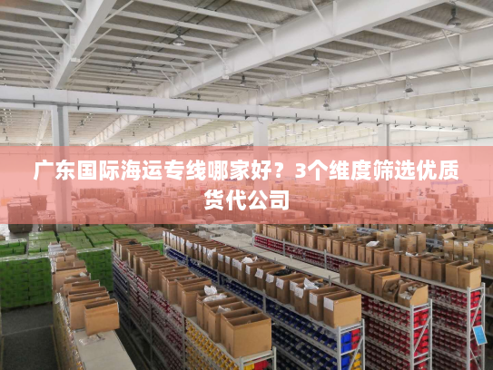 广东国际海运专线哪家好?3个维度筛选优质货代公司 广东国际海运专线哪家好?3个维度筛选优质货代公司