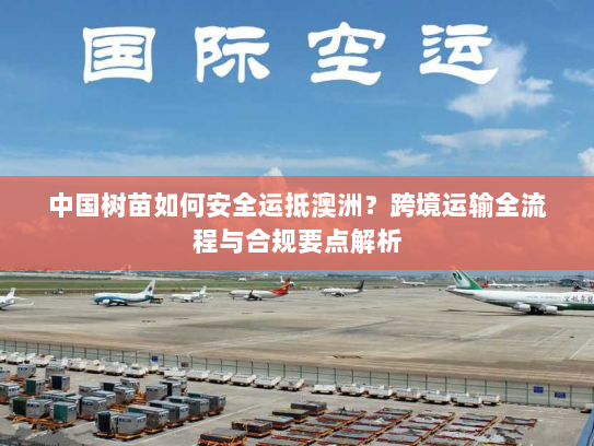 中国树苗如何安全运抵澳洲?跨境运输全流程与合规要点解析 中国树苗如何安全运抵澳洲?跨境运输全流程与合规要点解析
