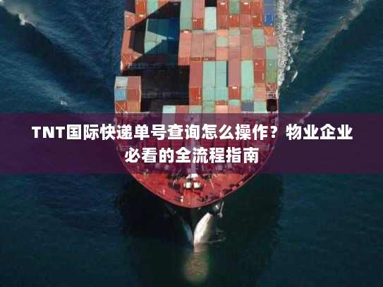 TNT国际快递单号查询怎么操作?物业企业必看的全流程指南 TNT国际快递单号查询怎么操作?物业企业必看的全流程指南