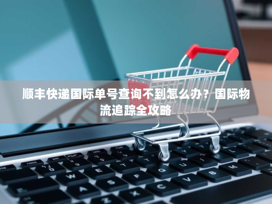 顺丰快递国际单号查询不到怎么办?国际物流追踪全攻略 顺丰快递国际单号查询不到怎么办?国际物流追踪全攻略