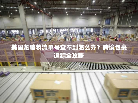 美国龙腾物流单号查不到怎么办?跨境包裹追踪全攻略 美国龙腾物流单号查不到怎么办?跨境包裹追踪全攻略