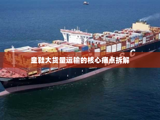 童鞋大货量运输的核心痛点拆解 童鞋大货量运输的核心痛点拆解