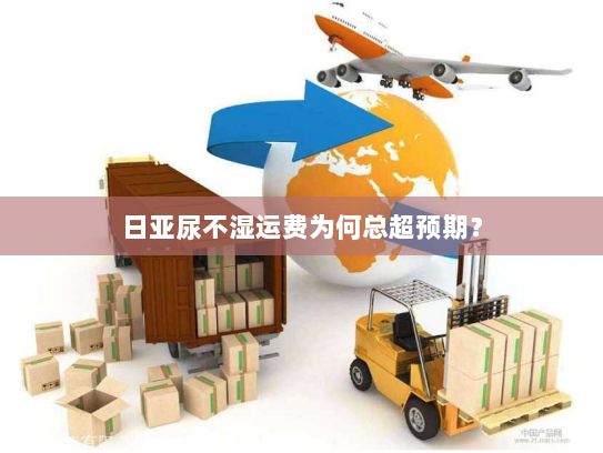 日亚尿不湿运费为何总超预期? 日亚尿不湿运费为何总超预期?