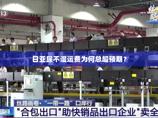 日亚尿不湿运费为何总超预期? 日亚尿不湿运费为何总超预期?