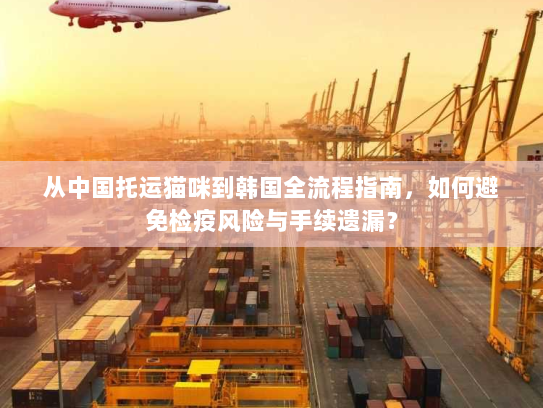 从中国托运猫咪到韩国全流程指南,如何避免检疫风险与手续遗漏? 从中国托运猫咪到韩国全流程指南,如何避免检疫风险与手续遗漏?