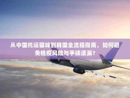 从中国托运猫咪到韩国全流程指南,如何避免检疫风险与手续遗漏? 从中国托运猫咪到韩国全流程指南,如何避免检疫风险与手续遗漏?