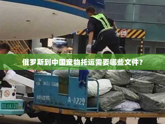俄罗斯到中国宠物托运需要哪些文件? 俄罗斯到中国宠物托运需要哪些文件?