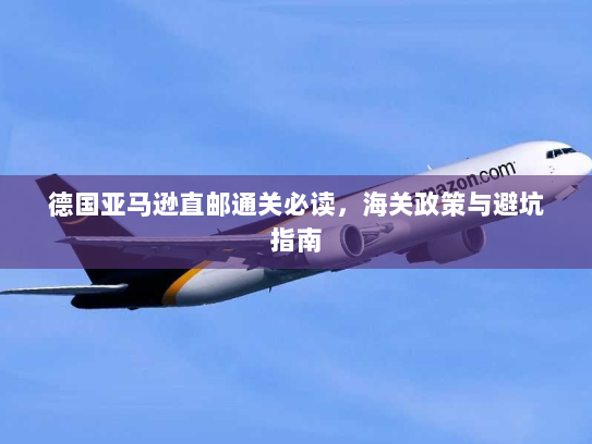 德国亚马逊直邮通关必读,海关政策与避坑指南 德国亚马逊直邮通关必读,海关政策与避坑指南
