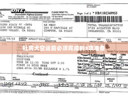 杜宾犬空运前必须完成的3项准备 杜宾犬空运前必须完成的3项准备