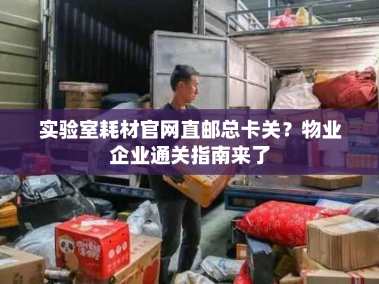实验室耗材官网直邮总卡关？物业企业通关指南来了