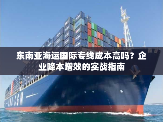 东南亚海运国际专线成本高吗？企业降本增效的实战指南