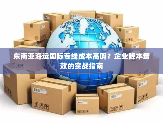东南亚海运国际专线成本高吗？企业降本增效的实战指南
