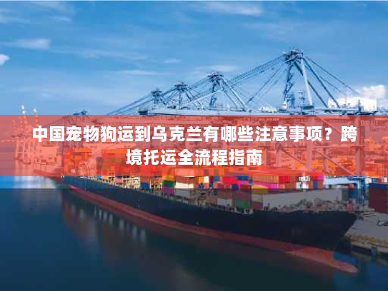 中国宠物狗运到乌克兰有哪些注意事项?跨境托运全流程指南 中国宠物狗运到乌克兰有哪些注意事项?跨境托运全流程指南