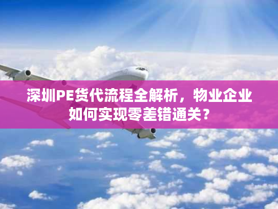 深圳PE货代流程全解析,物业企业如何实现零差错通关? 深圳PE货代流程全解析,物业企业如何实现零差错通关?