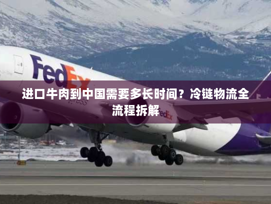 进口牛肉到中国需要多长时间?冷链物流全流程拆解 进口牛肉到中国需要多长时间?冷链物流全流程拆解