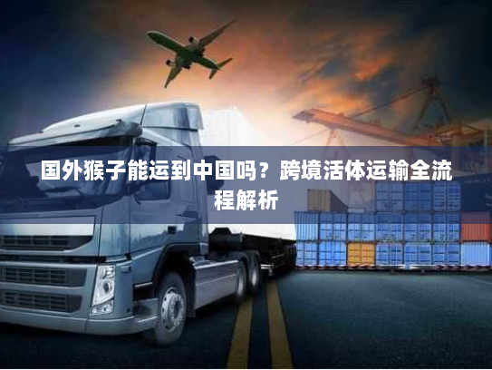 国外猴子能运到中国吗?跨境活体运输全流程解析 国外猴子能运到中国吗?跨境活体运输全流程解析