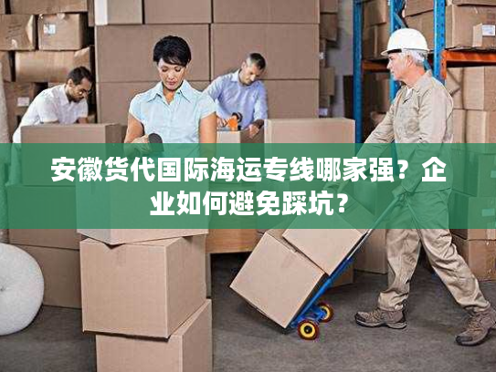 安徽货代国际海运专线哪家强？企业如何避免踩坑？