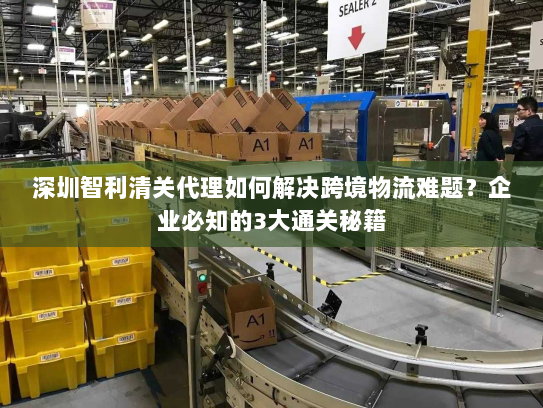 深圳智利清关代理如何解决跨境物流难题?企业必知的3大通关秘籍 深圳智利清关代理如何解决跨境物流难题?企业必知的3大通关秘籍