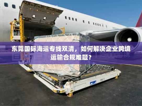 东莞国际海运专线双清，如何解决企业跨境运输合规难题？