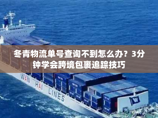 冬青物流单号查询不到怎么办？3分钟学会跨境包裹追踪技巧
