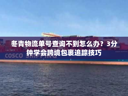 冬青物流单号查询不到怎么办？3分钟学会跨境包裹追踪技巧