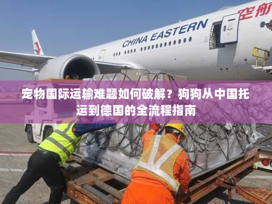 宠物国际运输难题如何破解？狗狗从中国托运到德国的全流程指南