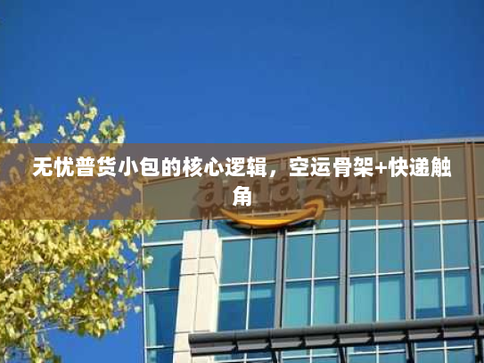 无忧普货小包的核心逻辑,空运骨架+快递触角 无忧普货小包的核心逻辑,空运骨架+快递触角