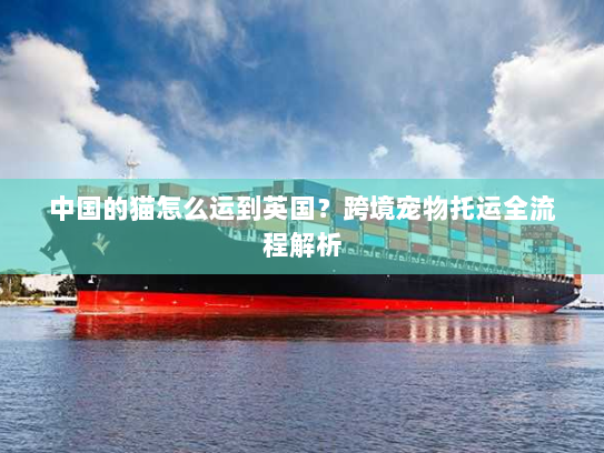 中国的猫怎么运到英国?跨境宠物托运全流程解析 中国的猫怎么运到英国?跨境宠物托运全流程解析