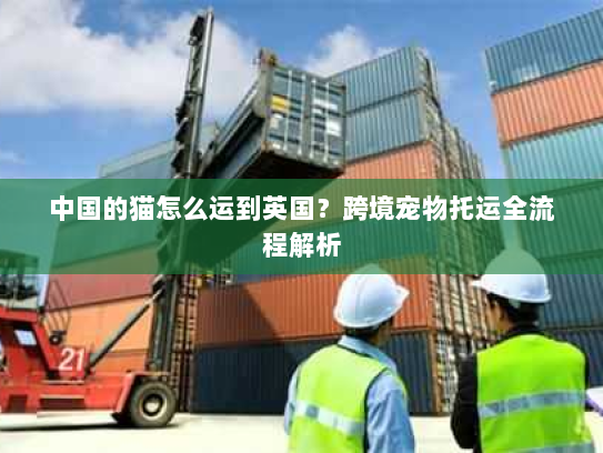 中国的猫怎么运到英国?跨境宠物托运全流程解析 中国的猫怎么运到英国?跨境宠物托运全流程解析