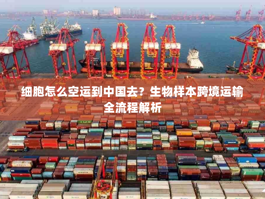 细胞怎么空运到中国去？生物样本跨境运输全流程解析