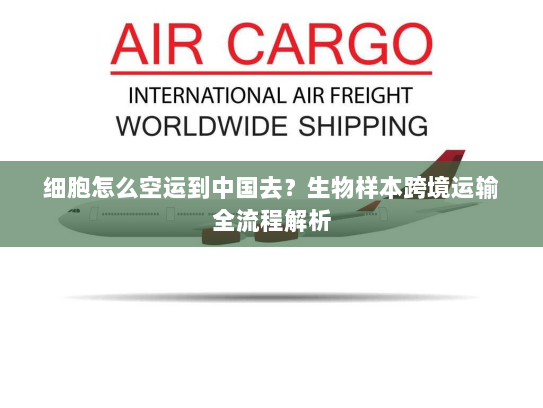 细胞怎么空运到中国去？生物样本跨境运输全流程解析