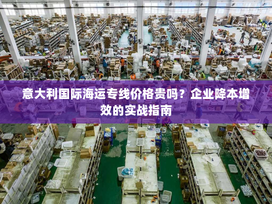 意大利国际海运专线价格贵吗?企业降本增效的实战指南 意大利国际海运专线价格贵吗?企业降本增效的实战指南