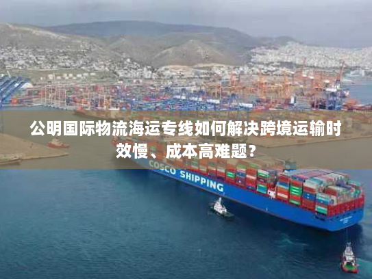 公明国际物流海运专线如何解决跨境运输时效慢、成本高难题？