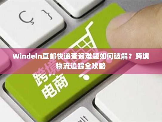Windeln直邮快递查询难题如何破解？跨境物流追踪全攻略