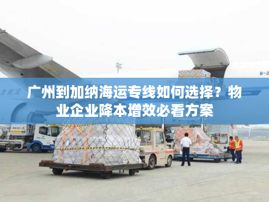 广州到加纳海运专线如何选择?物业企业降本增效必看方案 广州到加纳海运专线如何选择?物业企业降本增效必看方案
