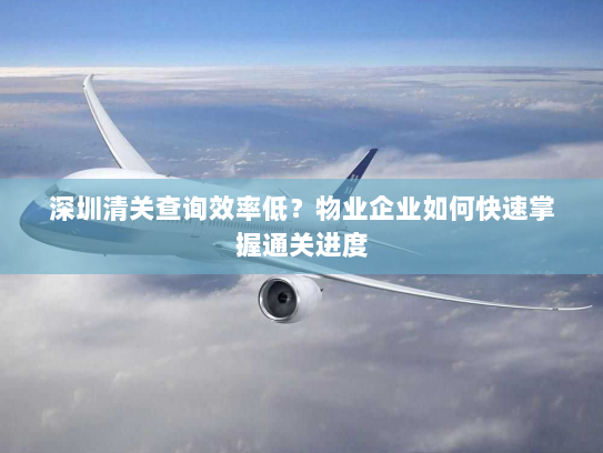 深圳清关查询效率低?物业企业如何快速掌握通关进度 深圳清关查询效率低?物业企业如何快速掌握通关进度