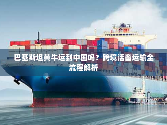 巴基斯坦黄牛运到中国吗?跨境活畜运输全流程解析 巴基斯坦黄牛运到中国吗?跨境活畜运输全流程解析