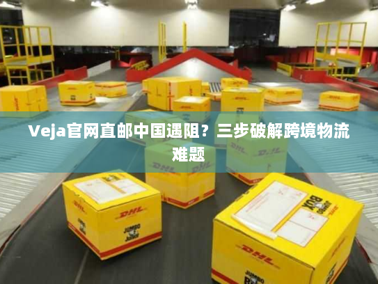 Veja官网直邮中国遇阻?三步破解跨境物流难题 Veja官网直邮中国遇阻?三步破解跨境物流难题