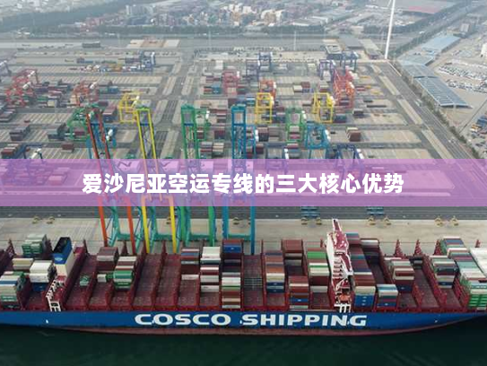 爱沙尼亚空运专线的三大核心优势 爱沙尼亚空运专线的三大核心优势