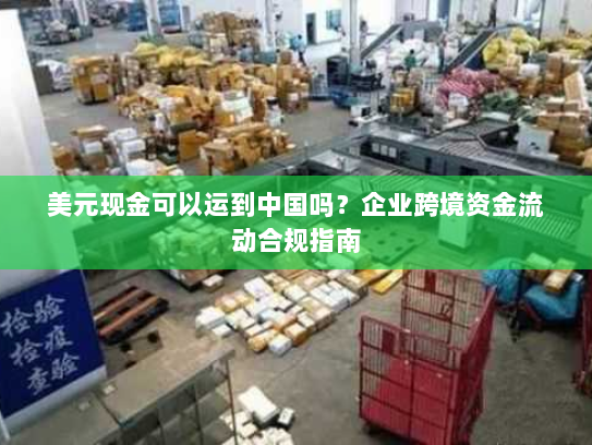 美元现金可以运到中国吗？企业跨境资金流动合规指南