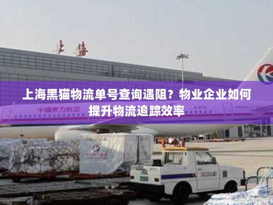 上海黑猫物流单号查询遇阻?物业企业如何提升物流追踪效率 上海黑猫物流单号查询遇阻?物业企业如何提升物流追踪效率