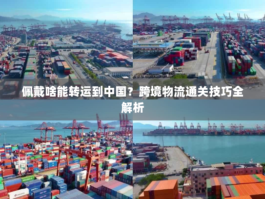 佩戴啥能转运到中国?跨境物流通关技巧全解析 佩戴啥能转运到中国?跨境物流通关技巧全解析