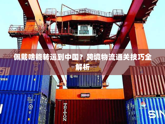 佩戴啥能转运到中国?跨境物流通关技巧全解析 佩戴啥能转运到中国?跨境物流通关技巧全解析